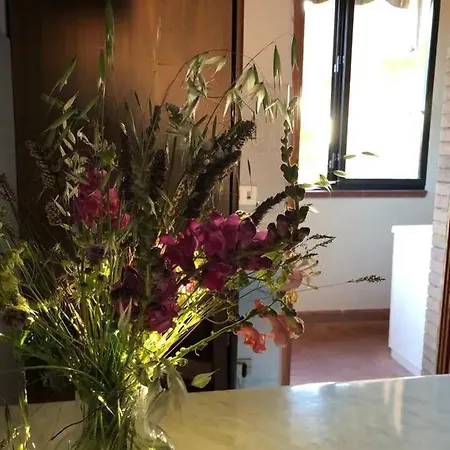 شقة Charming With View In 80 Sqm + Parking